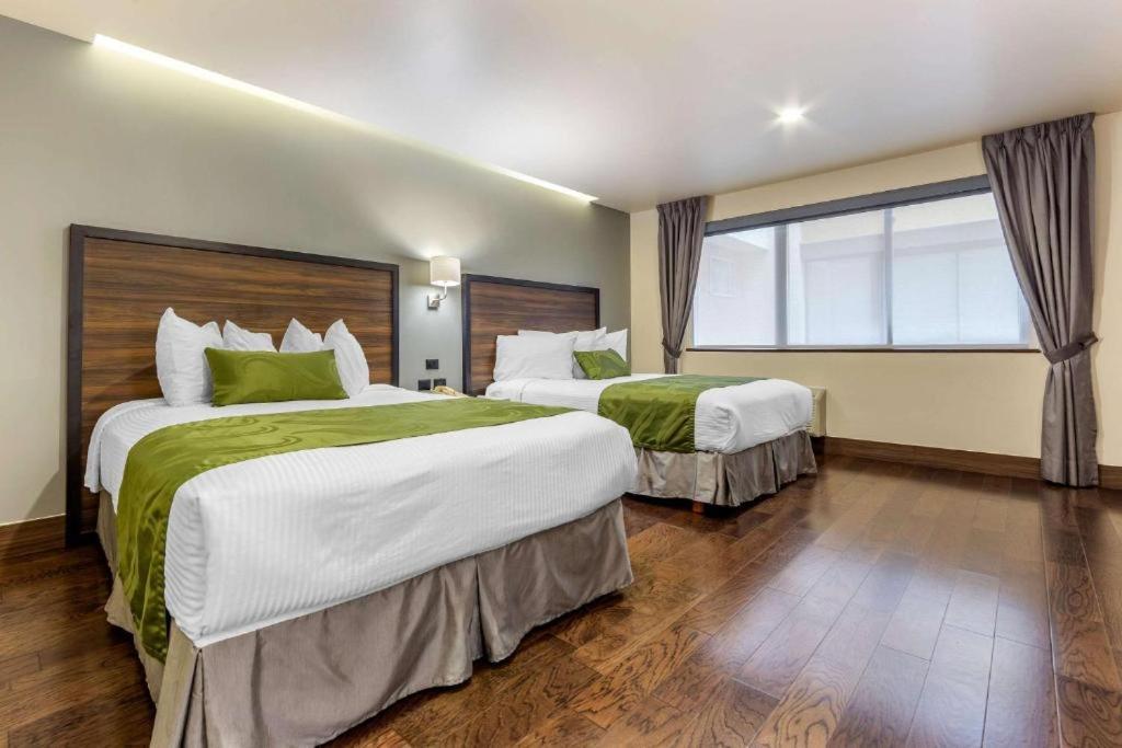 Quality Inn Chihuahua San Francisco Quarto foto